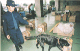 a drug sniffing dog used by Narita customs