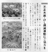 Opium and cannabis eradication 
information in Saitama prefecture